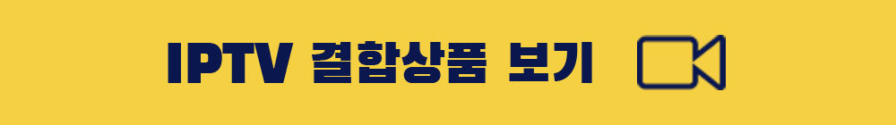 LG인터넷TV결합상품