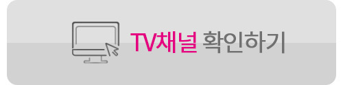 LG인터넷TV결합상품
